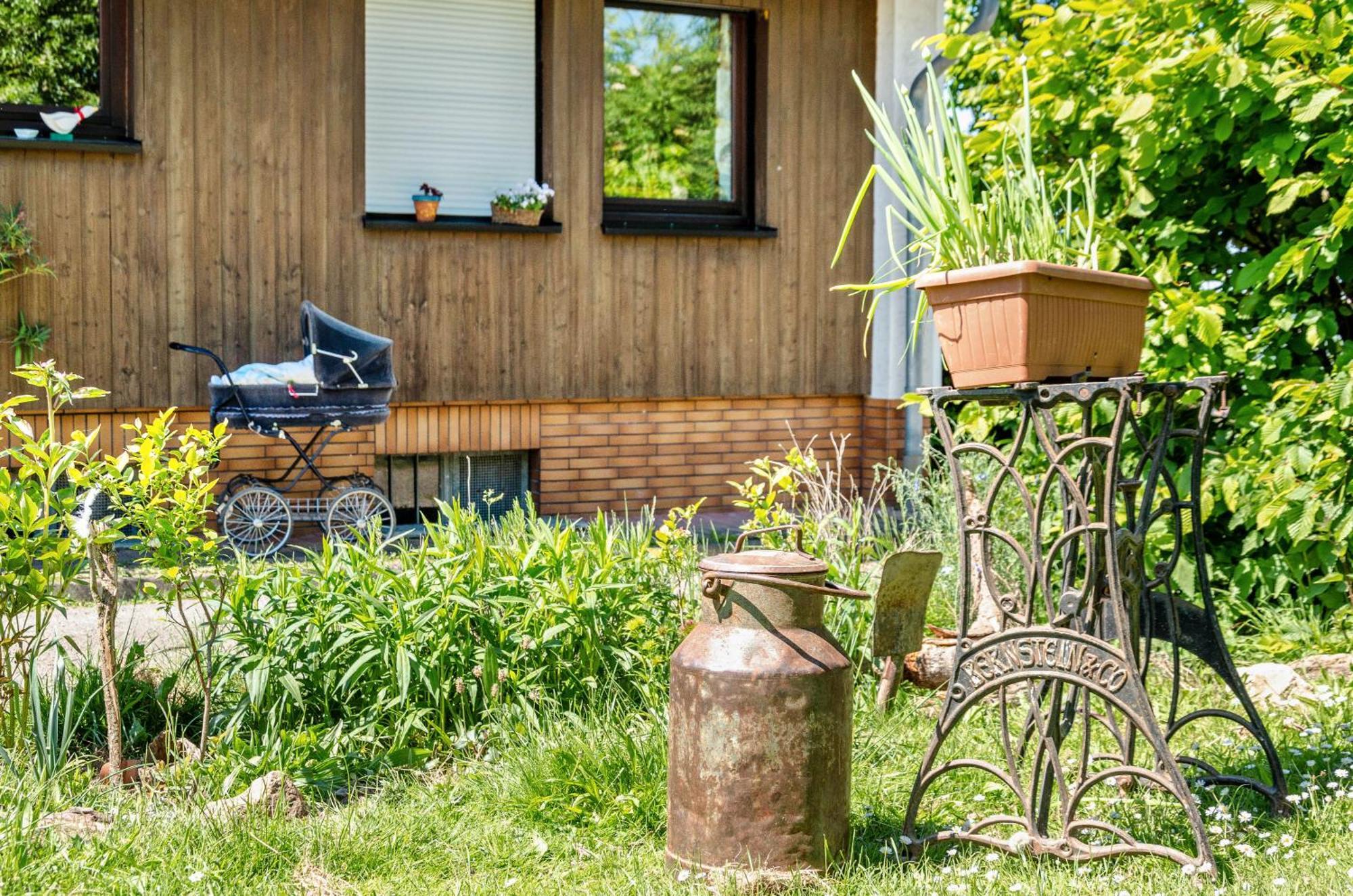 Ferienwohnung Landleben ホーフガイスマル エクステリア 写真